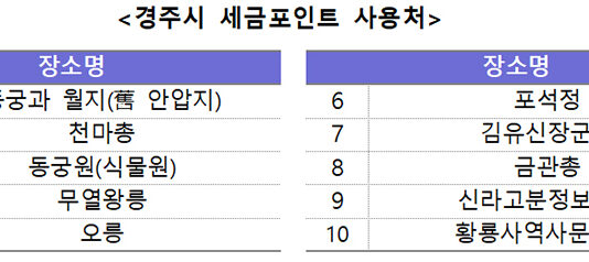 세금포인트로 경주 사적지 관람 할인…국세청·경주시 협약