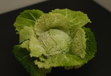 겨울철 채소로 만드는 간단 요리 a head of broccoli on a black surface