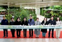 ‘왕십리 아래숲길 정원’조성…지하철역에서 만나는 숲 정원