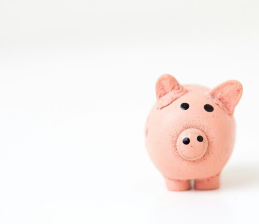 개인 연금 종류와 금액 선택하는 노하우 pink pig figurine on white surface