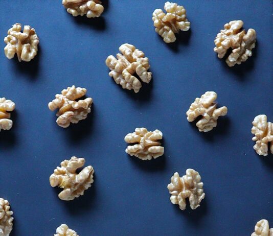 뇌 건강을 위한 식단 팁 white and brown flower petals