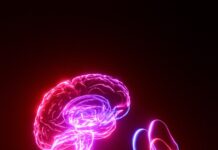 뇌 건강, 일상 속에서 챙기는 새로운 습관 A person's hand holding a glowing brain model