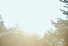 아침의 태양: 당신의 하루를 깨우는 12가지 움직임의 과학 group of people raising their hands