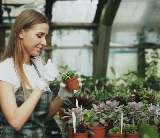 현대인의 건강관리, 대체요법으로 ‘슬로우 라이프’ 실천하기 Woman tending to potted plants in a greenhouse