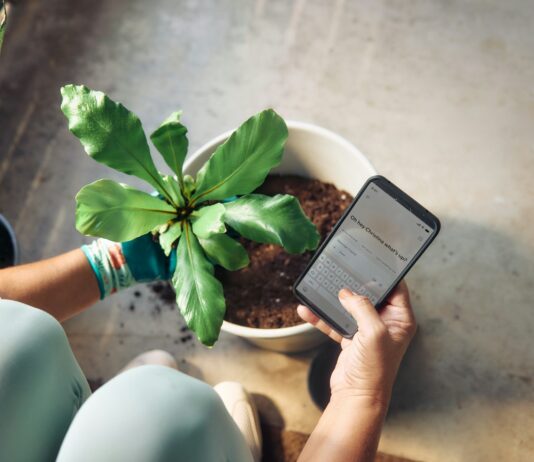MZ세대도 주목하는 ‘걷기 루틴’…쉽게 실천하는 건강 습관법 Person planting a houseplant and checking phone