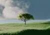 “마음 챙김, 바쁜 일상 속 작은 쉼표…실생활 속 실천법 집중 조명” A single tree on a vibrant green rolling hill.