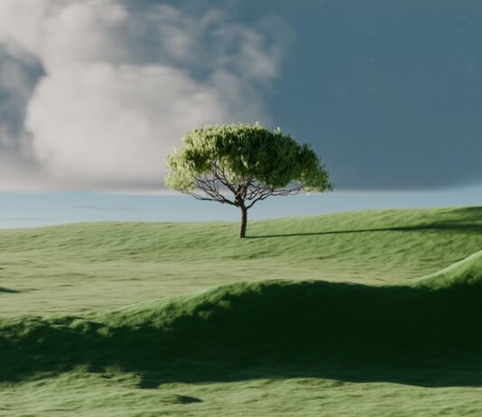 “마음 챙김, 바쁜 일상 속 작은 쉼표…실생활 속 실천법 집중 조명” A single tree on a vibrant green rolling hill.