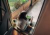 만성피로, 내 생활을 바꾸는 작은 루틴이 답이다 Woman sitting on balcony with smartphone